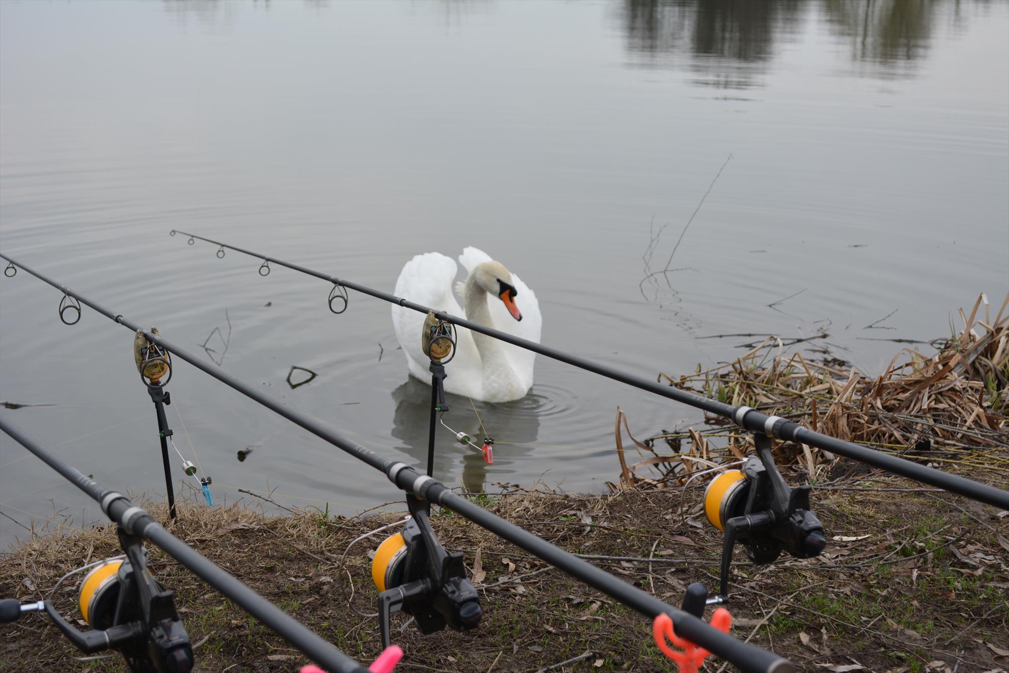 Pescuit :) - dsc0059.JPG